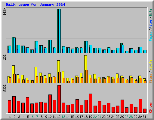 Daily usage for January 2024