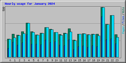 Hourly usage for January 2024