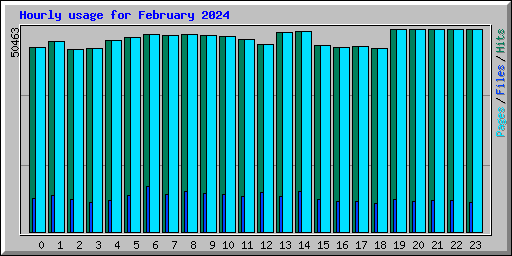 Hourly usage for February 2024