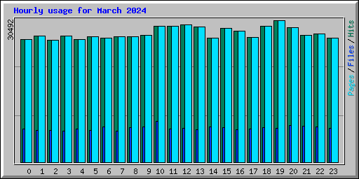 Hourly usage for March 2024